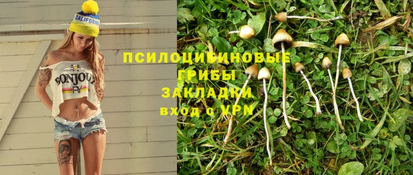 тгк Абинск