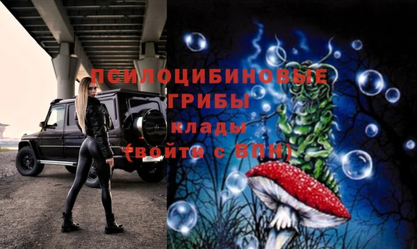 ALPHA PVP Алексин