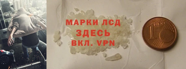 прущие грибы Данков