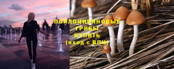 PSILOCYBIN Абаза