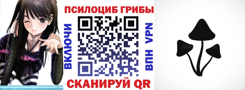 Псилоцибиновые грибы MAGIC MUSHROOMS  это официальный сайт  Суздаль  kraken онион 